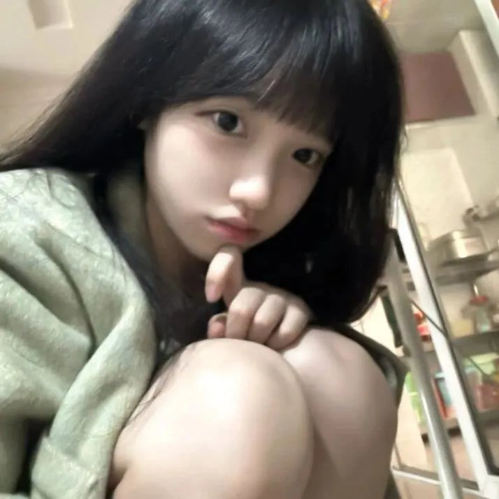 精灵高中