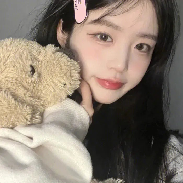 灵通汪星人